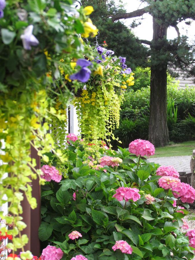 Celyn Villa Bed And Breakfast Holywell  Exterior foto